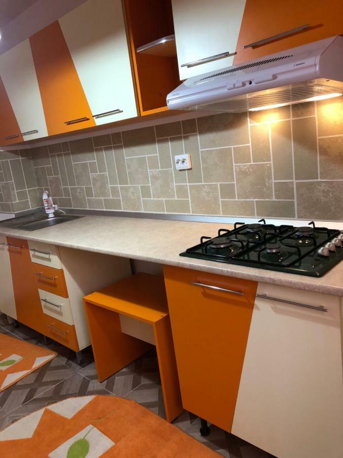 Apartament Kiseleff Drobeta Turnu Severin Eksteriør billede