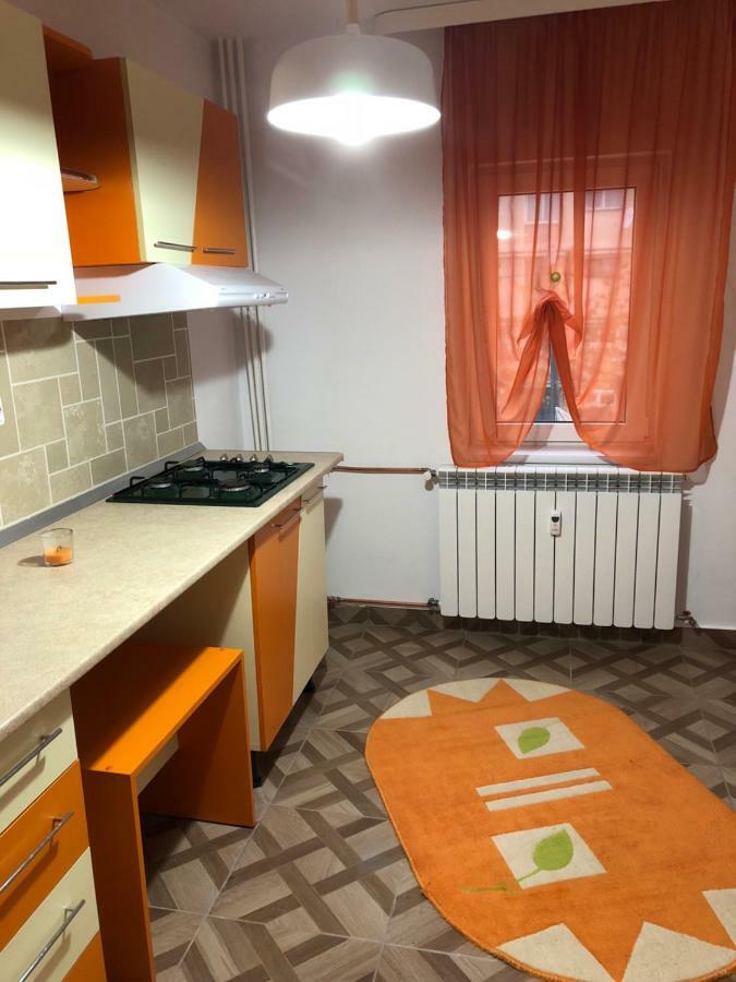 Apartament Kiseleff Drobeta Turnu Severin Eksteriør billede